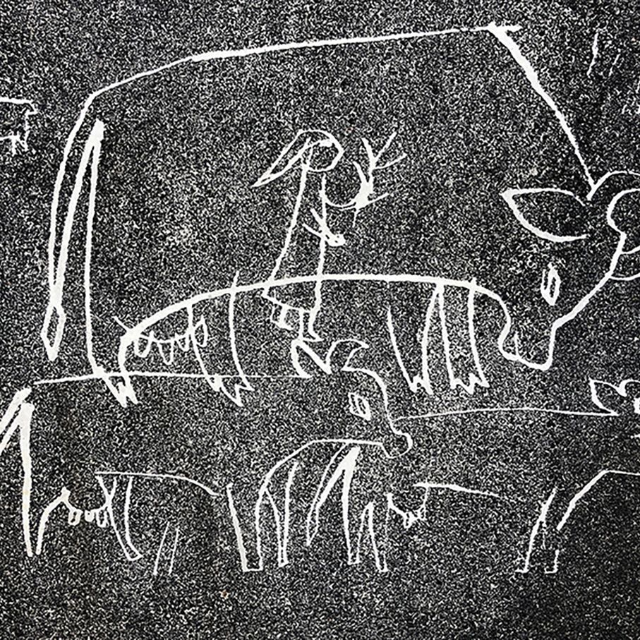 Empowering visual identity